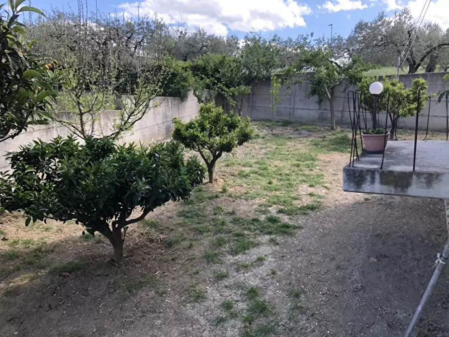 Immagine 7 di Casa indipendente in vendita  in viale e. mattei a Cupello