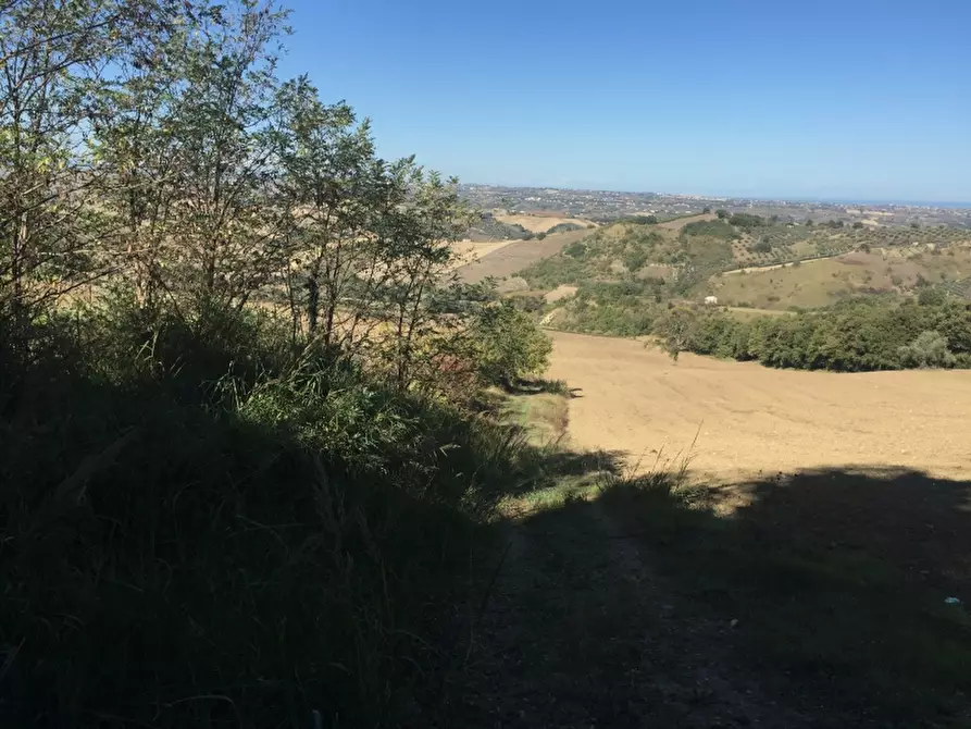 Immagine 7 di Terreno agricolo in vendita  a Cupello