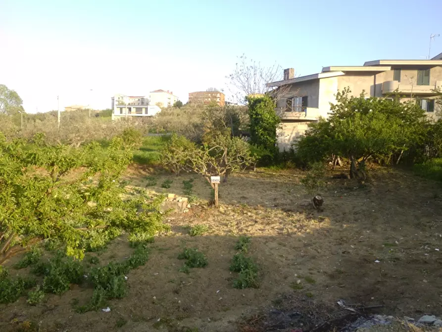 Immagine 7 di Terreno residenziale in vendita  in Cupello a Cupello