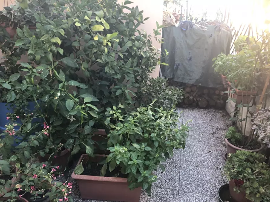 Immagine 8 di Casa indipendente in vendita  a Furci