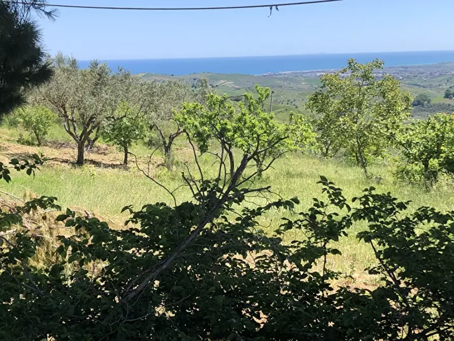 Immagine 7 di Rustico / casale in vendita  in colle mincuccio a Cupello