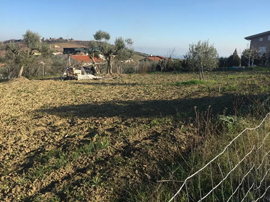 Immagine 14 di Terreno edificabile in vendita  in CONTRADA POLERCIA a Cupello