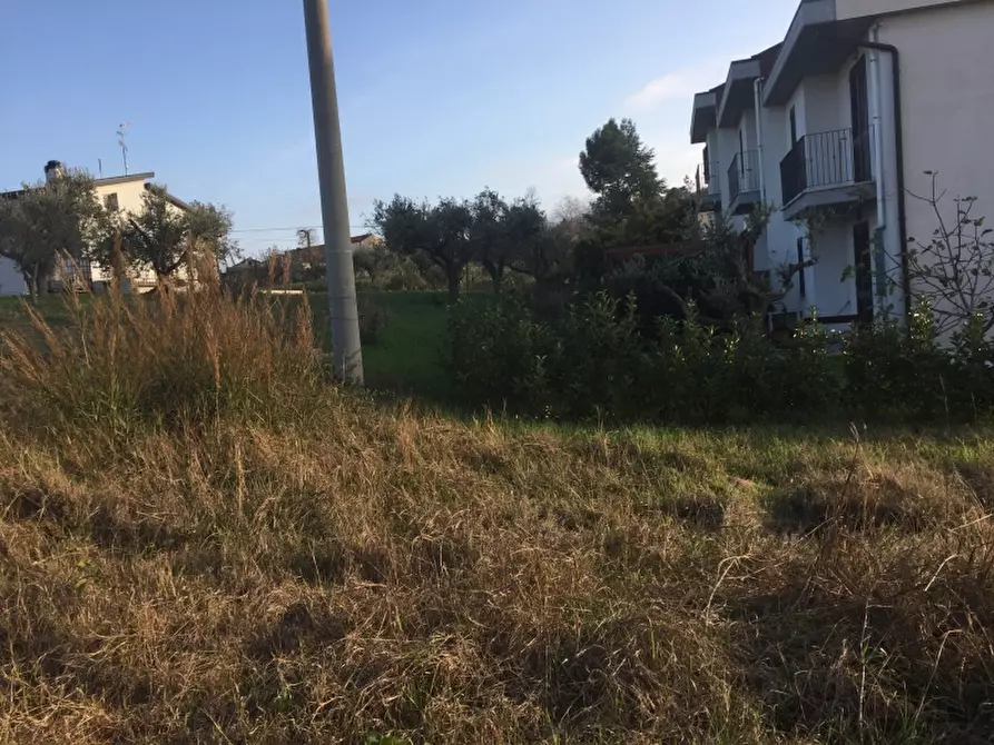 Immagine 9 di Terreno residenziale in vendita  in monteodorisio a Monteodorisio