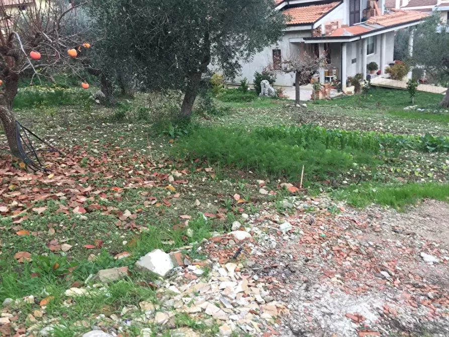 Immagine 11 di Terreno edificabile in vendita  in VIA ISTONIA a Cupello