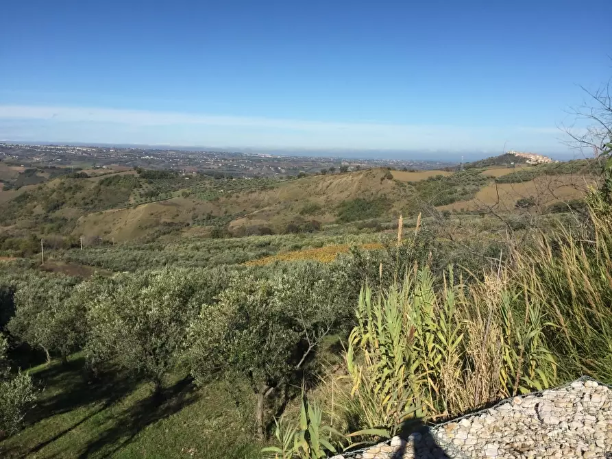 Immagine 8 di Terreno agricolo in vendita  a Cupello