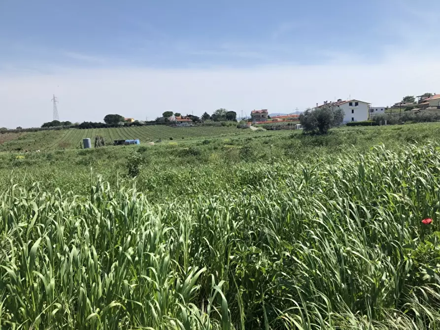 Immagine 1 di Terreno agricolo in vendita  in CONTRADA PIANO DI MARCO a Vasto