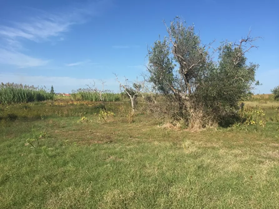 Immagine 11 di Terreno edificabile in vendita  in CAMPOMARINO LIDO a Campomarino