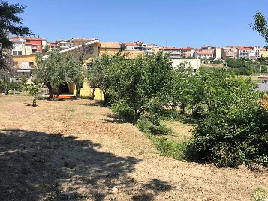 Immagine 9 di Terreno residenziale in vendita  in VIA ISTONIA a Cupello