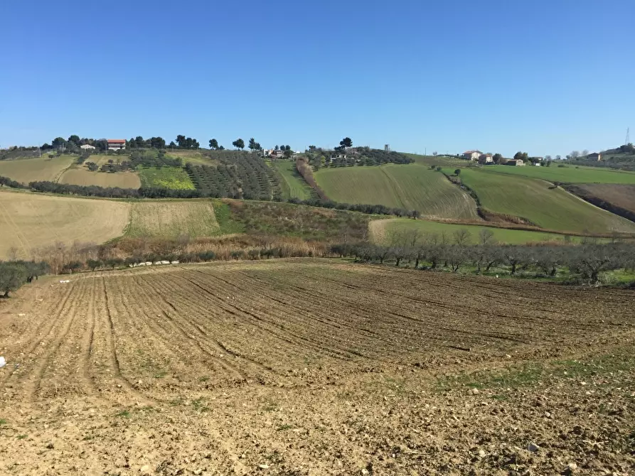 Immagine 7 di Terreno agricolo in vendita  in CONTRADA POLERCIA a Vasto