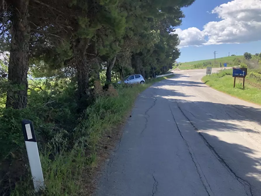 Immagine 8 di Rustico / casale in vendita  in colle mincuccio a Cupello