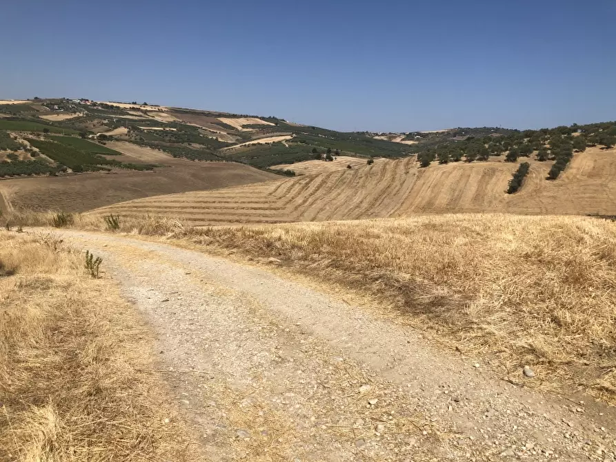 Immagine 7 di Terreno agricolo in vendita  in CONTRADA COLLE PIZZUTO a Vasto