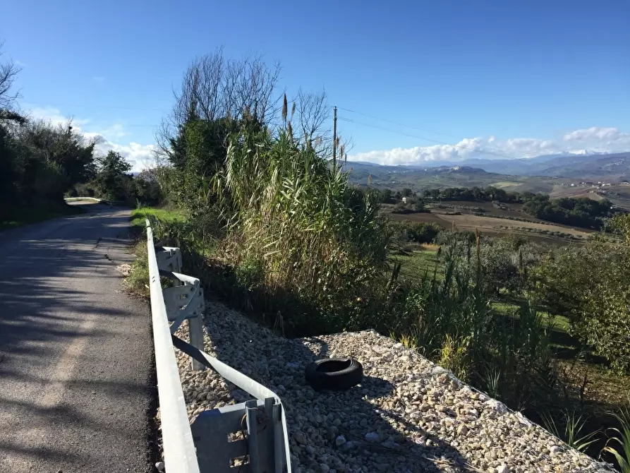 Immagine 9 di Terreno agricolo in vendita  a Cupello