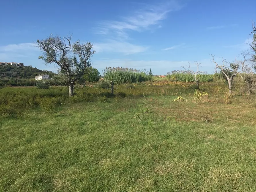 Immagine 12 di Terreno edificabile in vendita  in CAMPOMARINO LIDO a Campomarino