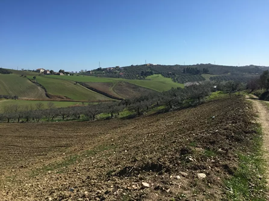 Immagine 8 di Terreno agricolo in vendita  in CONTRADA POLERCIA a Vasto