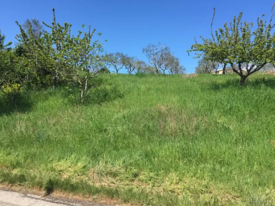 Immagine 8 di Terreno industriale in vendita  in PUNTA PENNA a Vasto