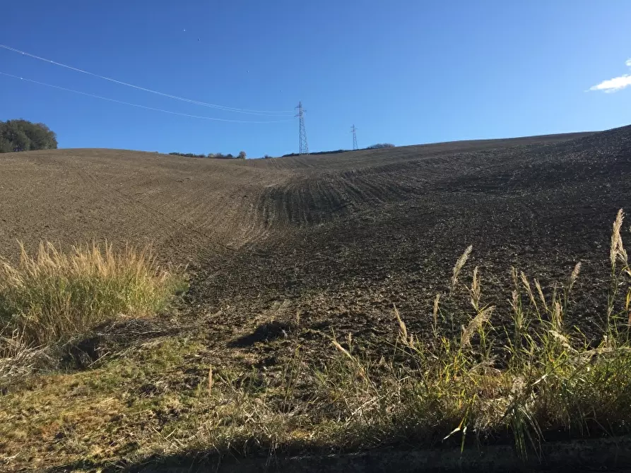 Immagine 11 di Azienda agricola in vendita  in CONTRADA SCOSSE a Cupello