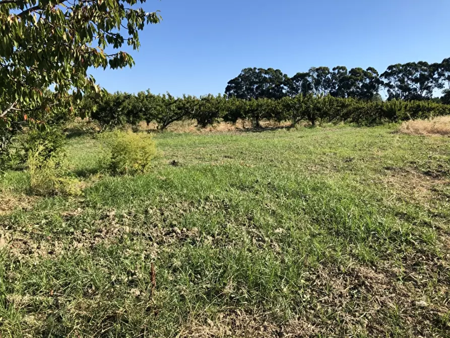Immagine 9 di Terreno industriale in vendita  in CONTRADA PADULA a San Salvo