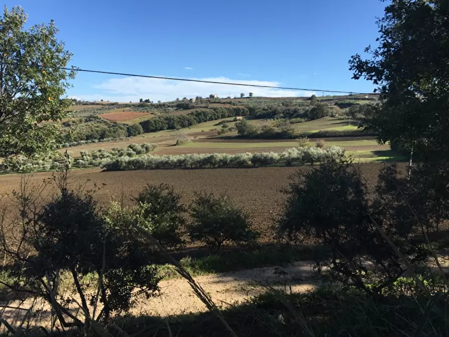 Immagine 10 di Terreno agricolo in vendita  a Cupello