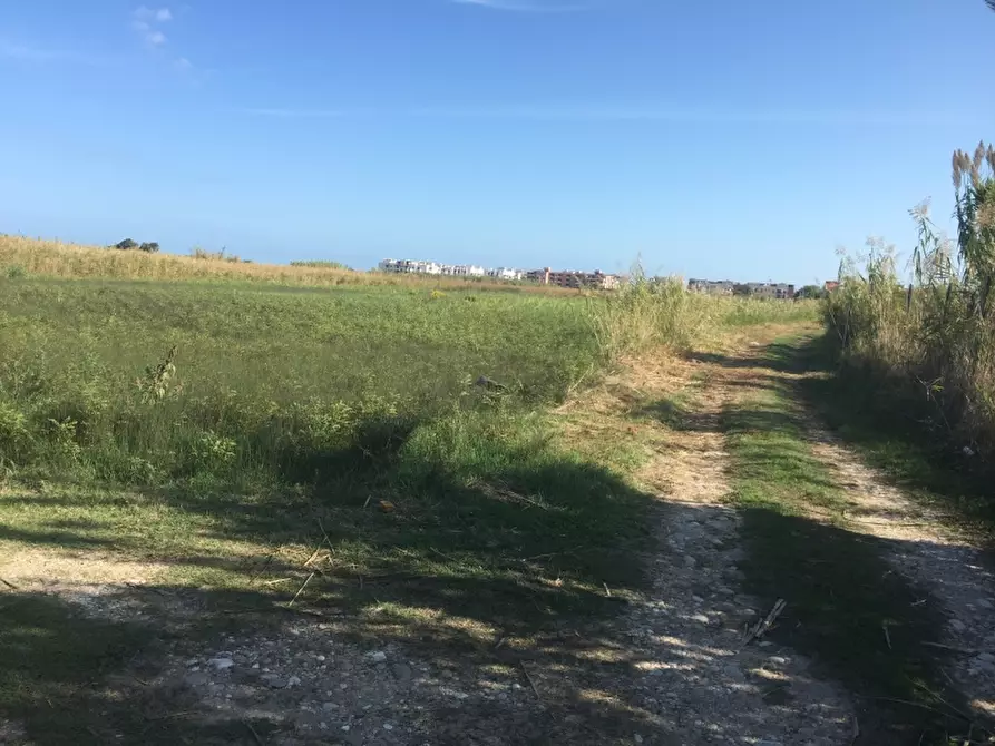 Immagine 13 di Terreno edificabile in vendita  in CAMPOMARINO LIDO a Campomarino