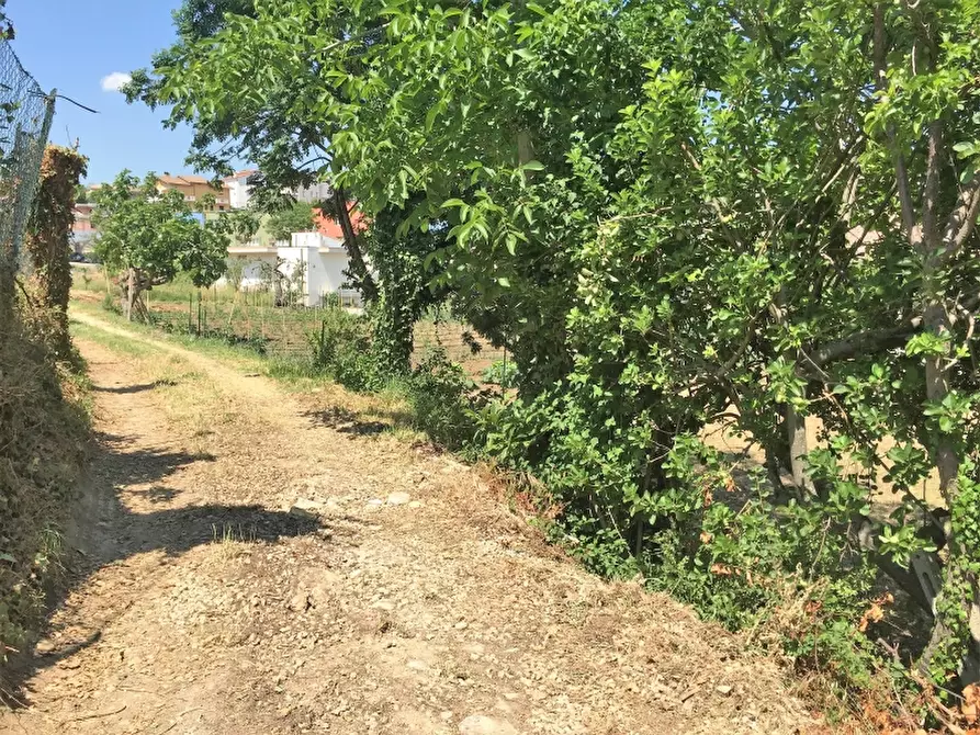 Immagine 1 di Terreno residenziale in vendita  in VIA ISTONIA a Cupello