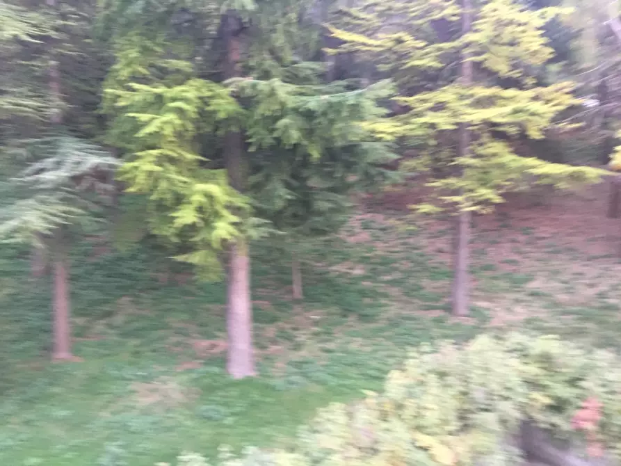 Immagine 12 di Appartamento in vendita  in VIA CESARE BATTISTI a Gissi