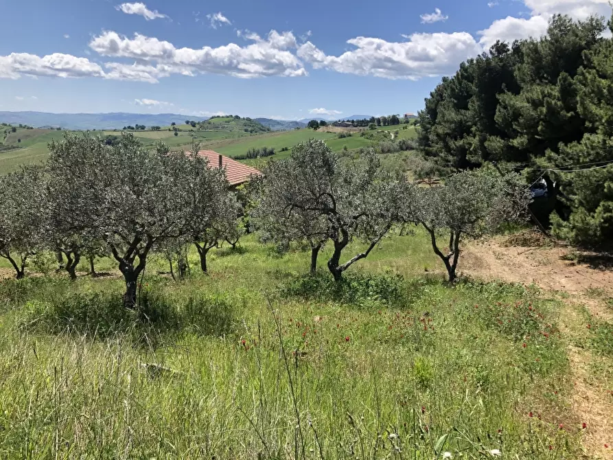 Immagine 10 di Rustico / casale in vendita  in colle mincuccio a Cupello