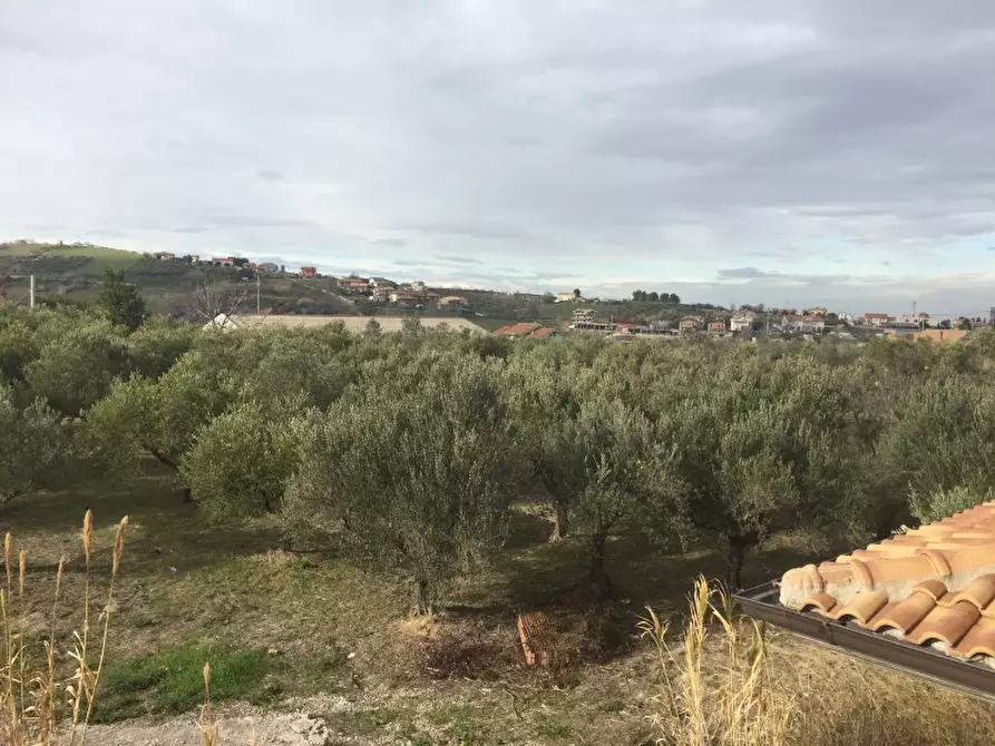 Immagine 11 di Villa in vendita  in colle pizzuto a Cupello