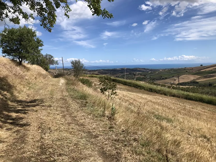 Immagine 6 di Rustico / casale in vendita  in CONTRADA RAMIGNANO a Cupello
