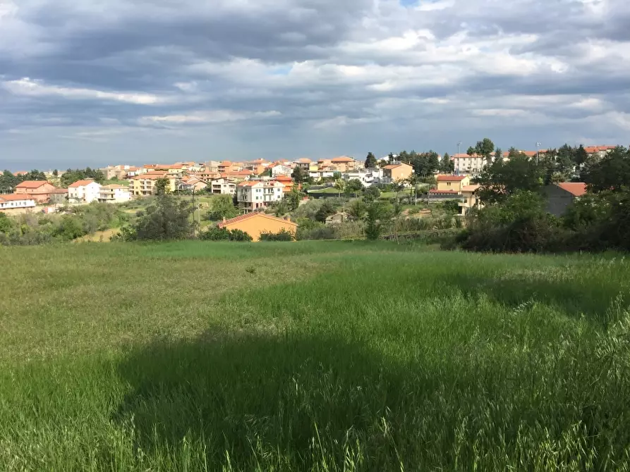 Immagine 11 di Terreno agricolo in vendita  in contrada strampalato a Cupello