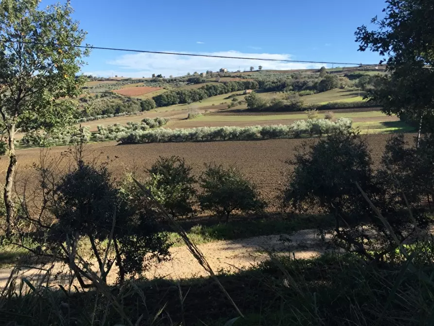 Immagine 11 di Terreno agricolo in vendita  a Cupello