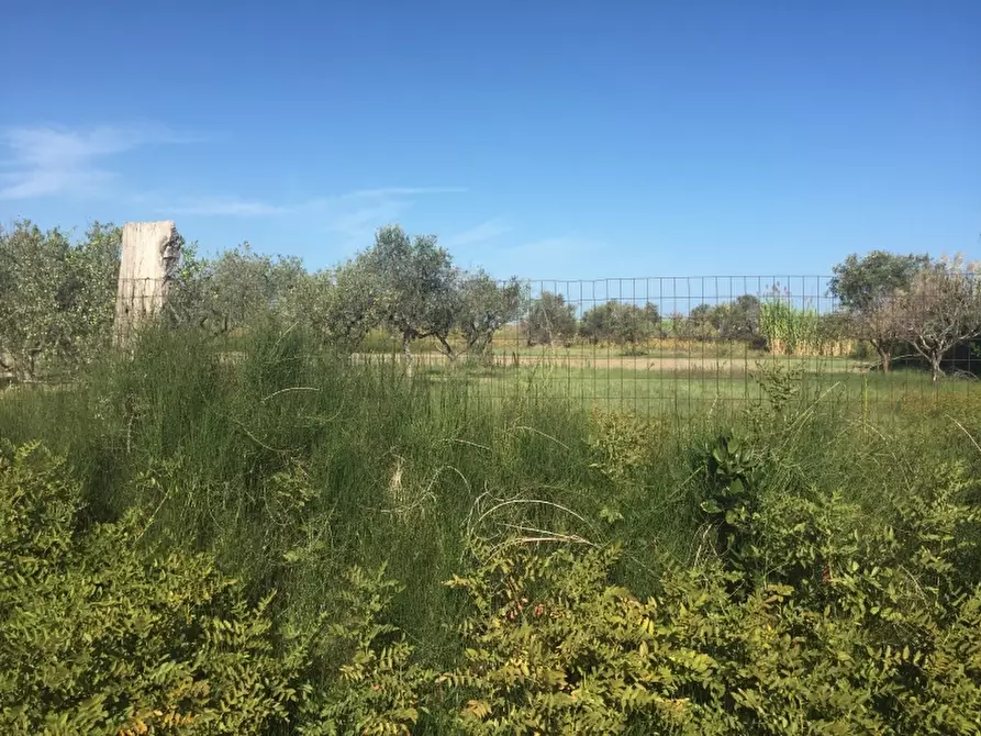 Immagine 14 di Terreno edificabile in vendita  in CAMPOMARINO LIDO a Campomarino