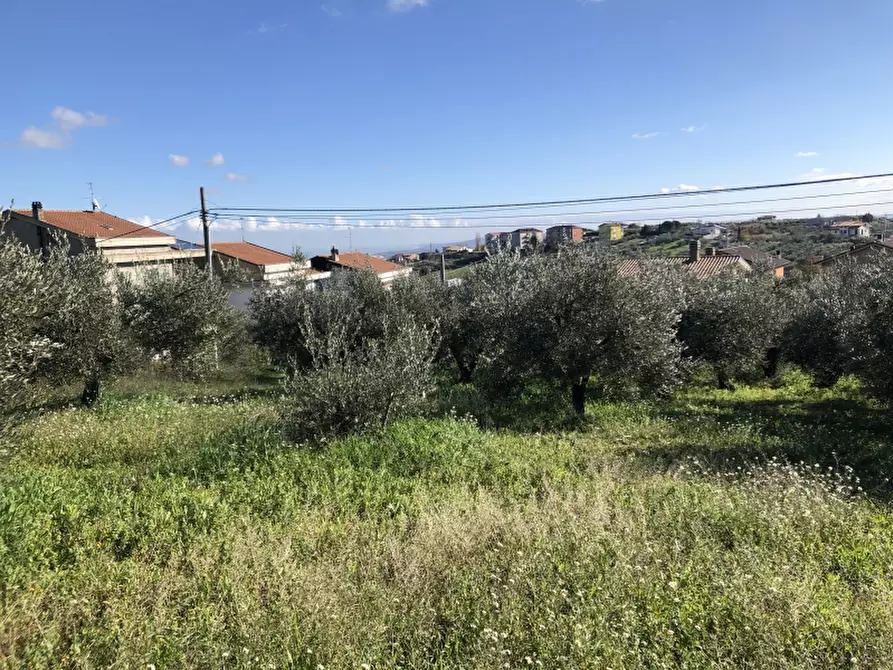 Immagine 11 di Terreno residenziale in vendita  in VIA ISTONIA a Cupello
