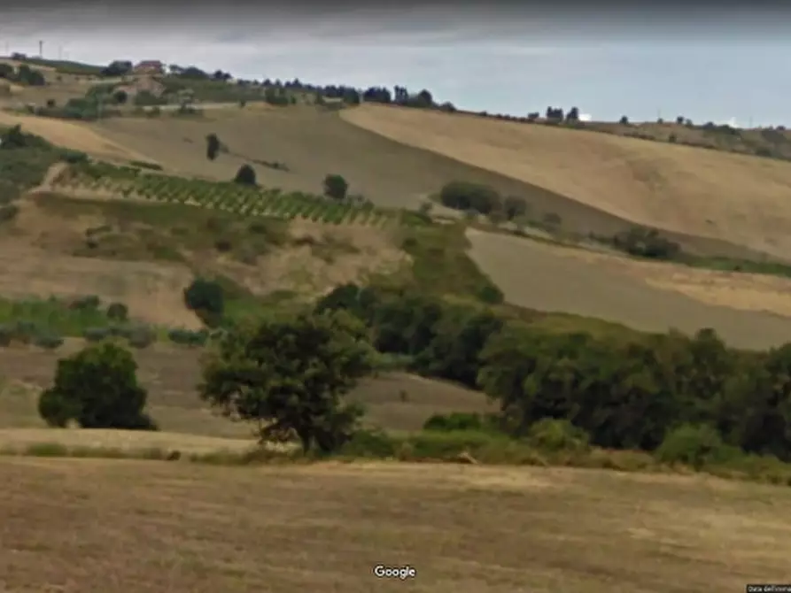Immagine 1 di Terreno agricolo in vendita  in CONTRADA RAMIGNANO a Cupello