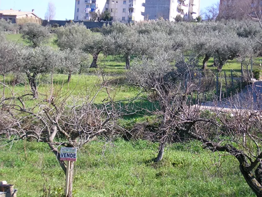 Immagine 1 di Terreno residenziale in vendita  in Cupello a Cupello