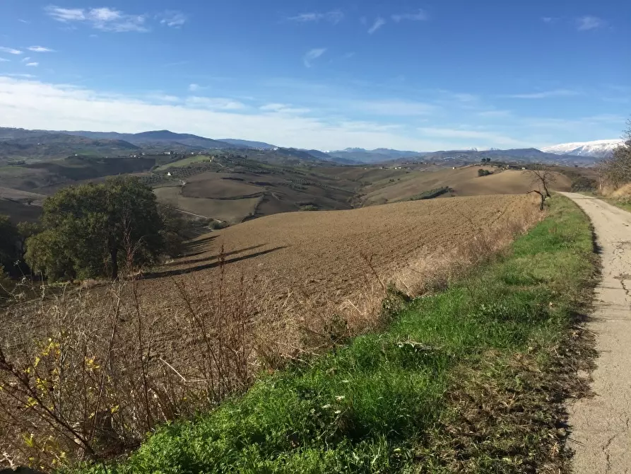 Immagine 2 di Azienda agricola in vendita  in CONTRADA SCOSSE a Cupello