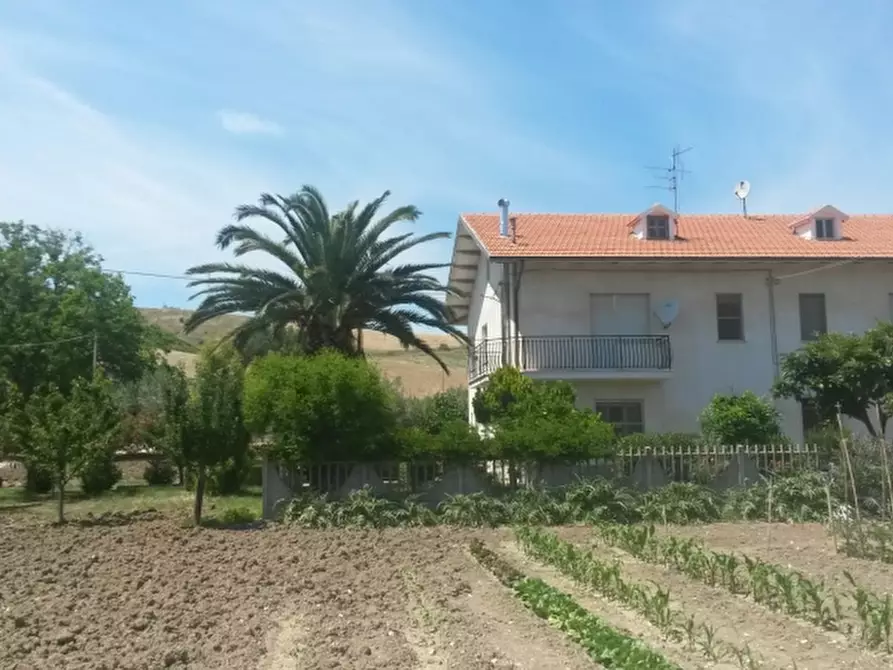 Immagine 1 di Casa indipendente in vendita  in CONTRADA PESCHIOLA a Gissi