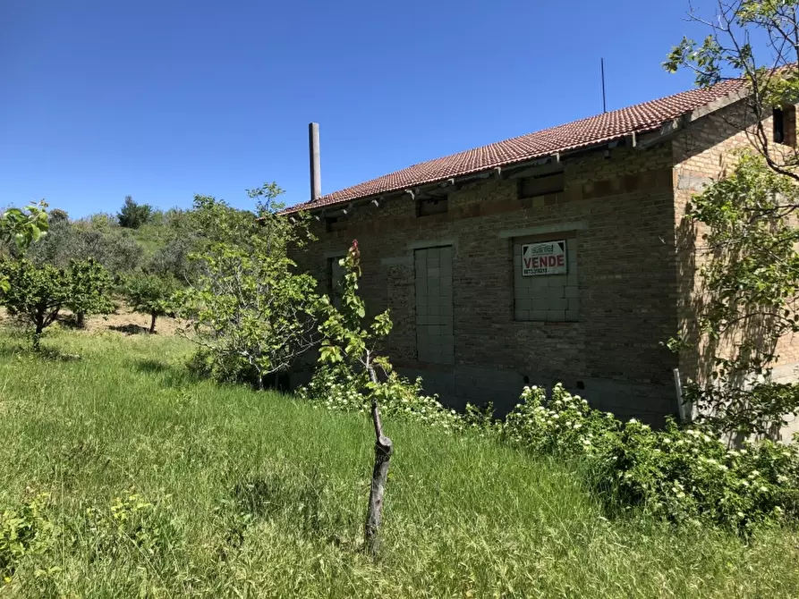 Immagine 6 di Rustico / casale in vendita  in colle mincuccio a Cupello