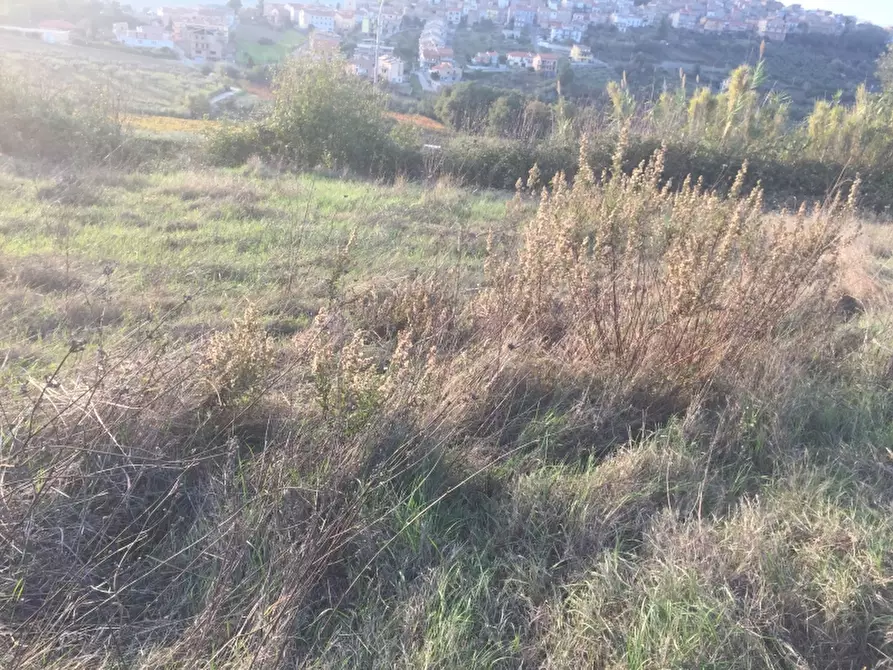 Immagine 3 di Terreno residenziale in vendita  in monteodorisio a Monteodorisio