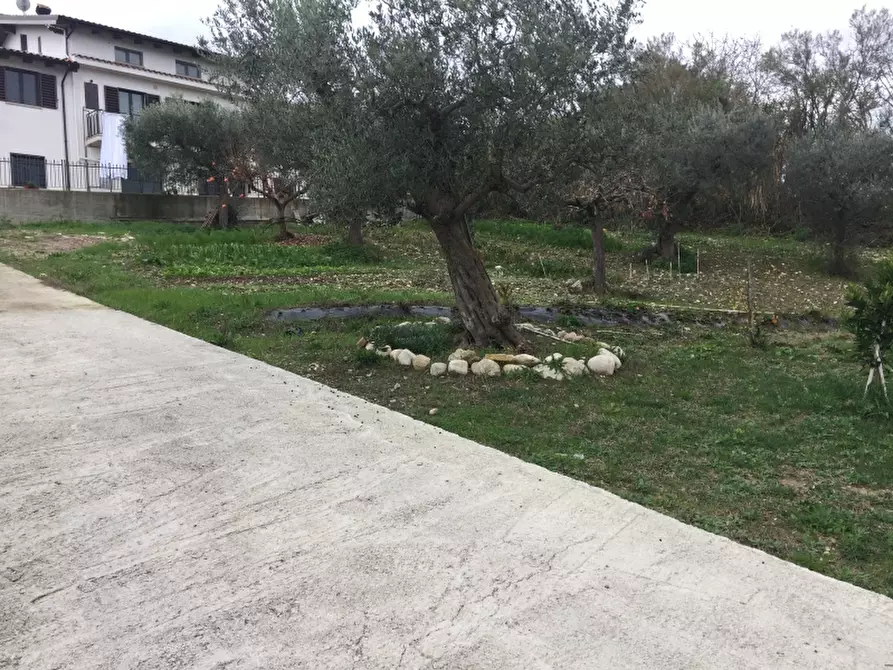 Immagine 5 di Terreno edificabile in vendita  in VIA ISTONIA a Cupello