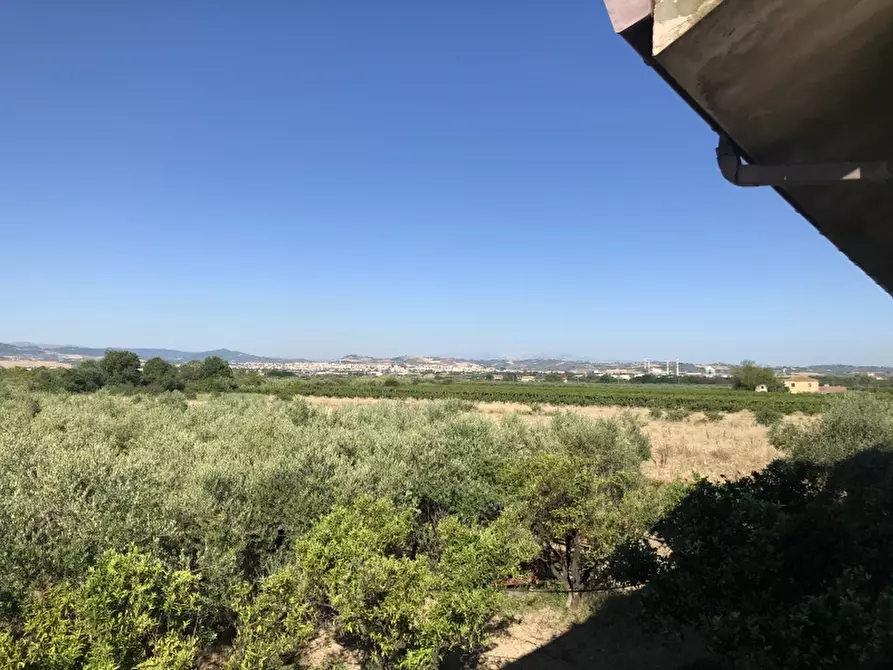 Immagine 3 di Terreno industriale in vendita  in CONTRADA PADULA a San Salvo