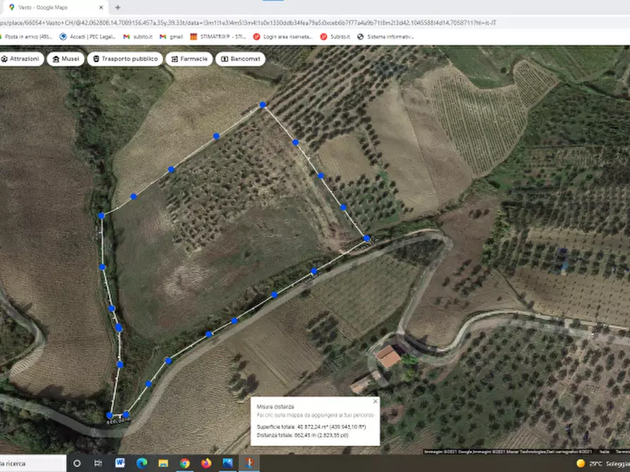 Immagine 8 di Terreno agricolo in vendita  in CONTRADA COLLE PIZZUTO a Vasto