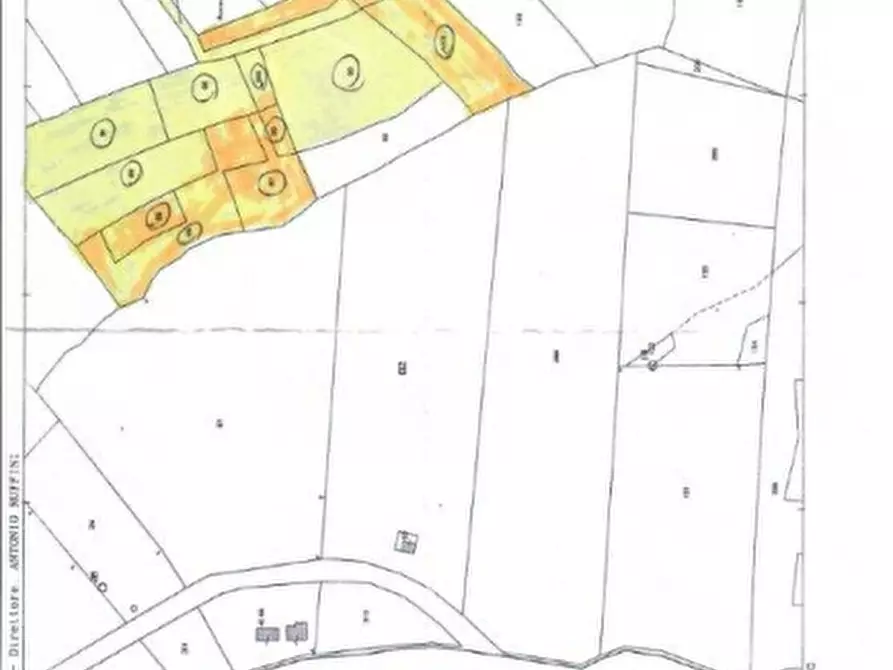 Immagine 2 di Terreno agricolo in vendita  in contrada Polercia a Vasto