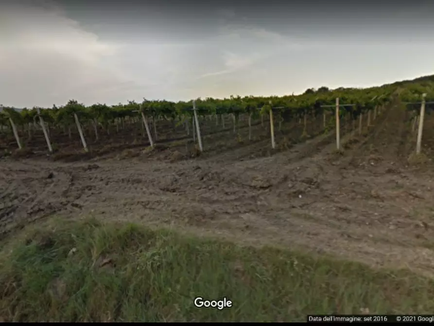 Immagine 1 di Terreno agricolo in vendita  in contrada colle mincuccio a Cupello