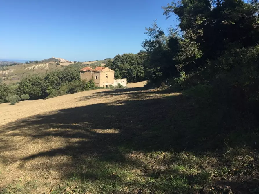 Immagine 2 di Terreno agricolo in vendita  a Cupello