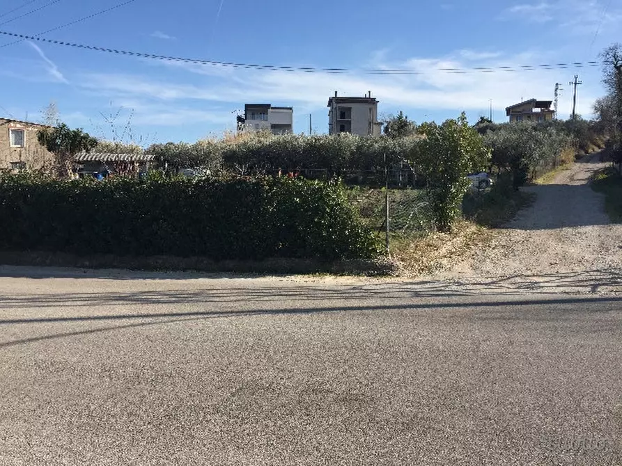 Immagine 2 di Terreno residenziale in vendita  a Cupello