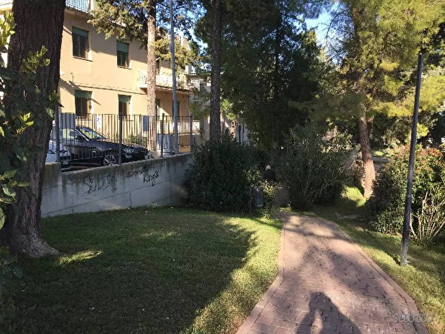 Immagine 4 di Terreno residenziale in vendita  a Cupello