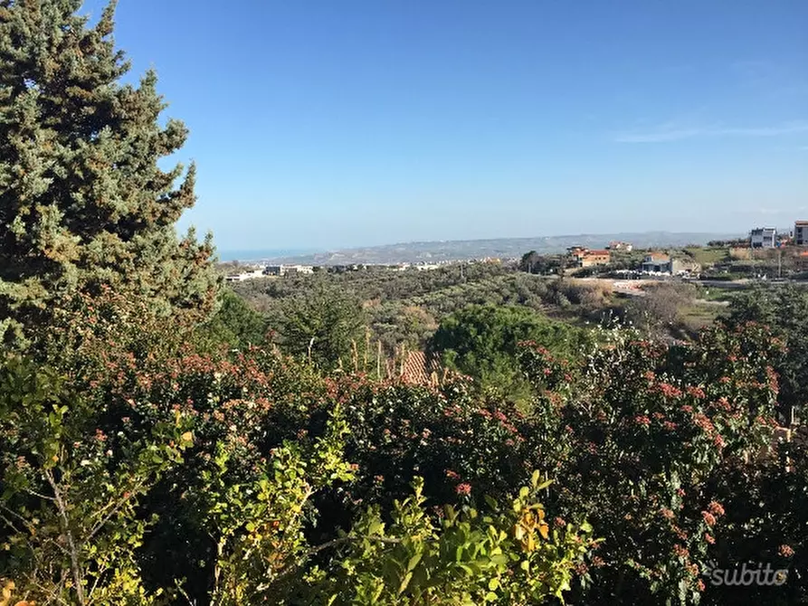 Immagine 6 di Terreno residenziale in vendita  a Cupello