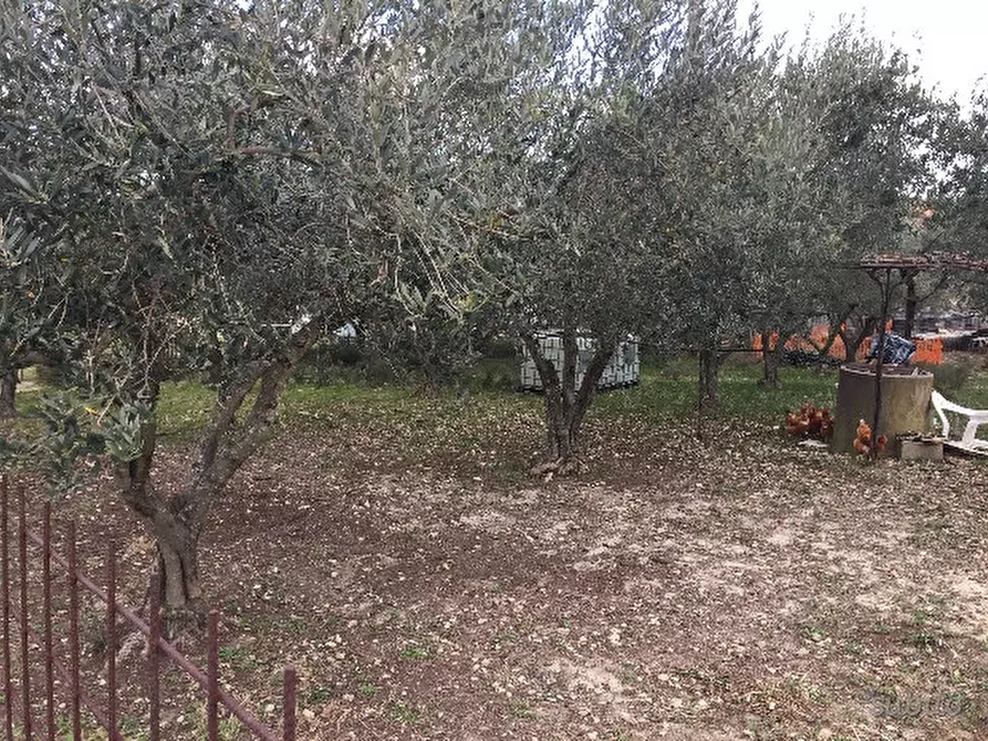 Immagine 9 di Terreno residenziale in vendita  a Cupello
