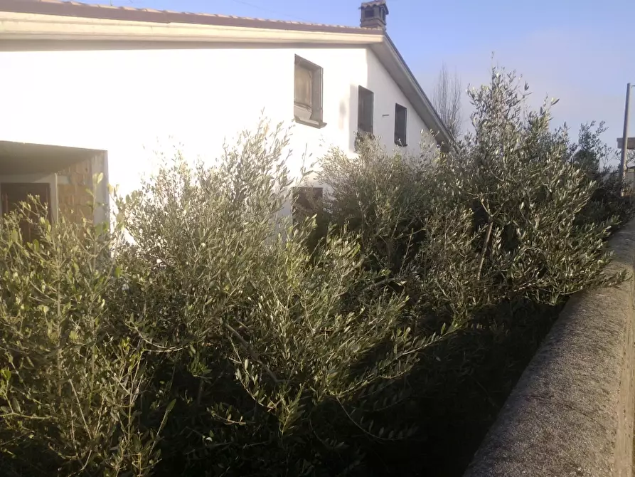 Immagine 7 di Villa in vendita  a Cupello