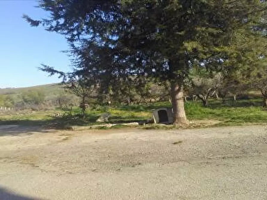 Immagine 12 di Rustico / casale in vendita  in contrada peschiola a Gissi